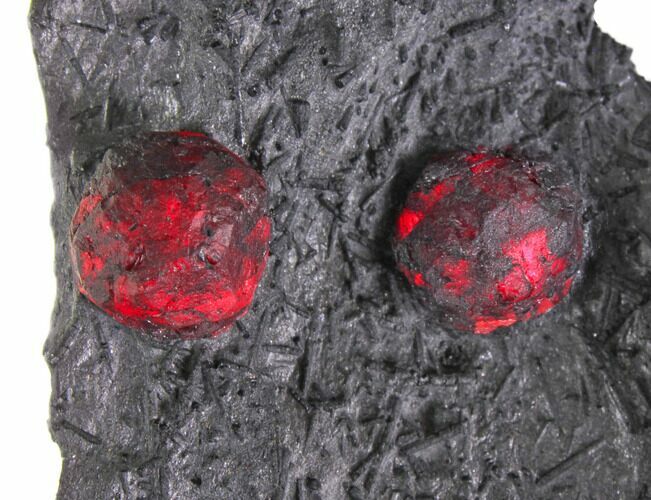 Plate of Two Red Embers Garnet in Graphite - Massachusetts #148160